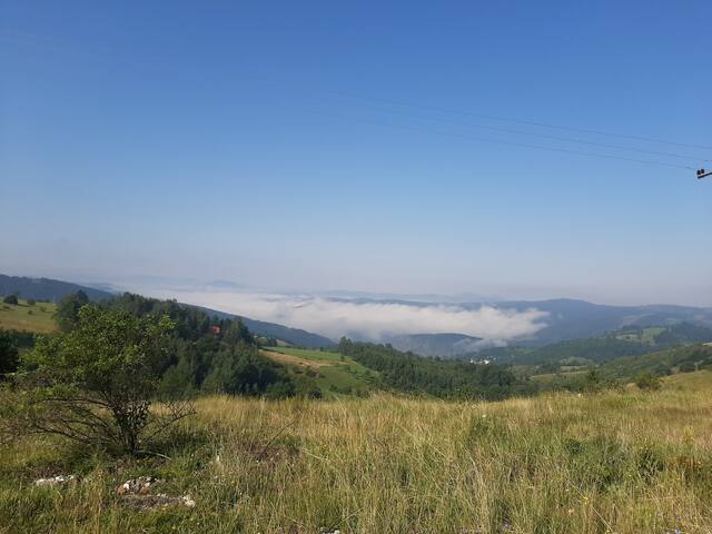 兹拉蒂博尔(Zlatibor)的民宿