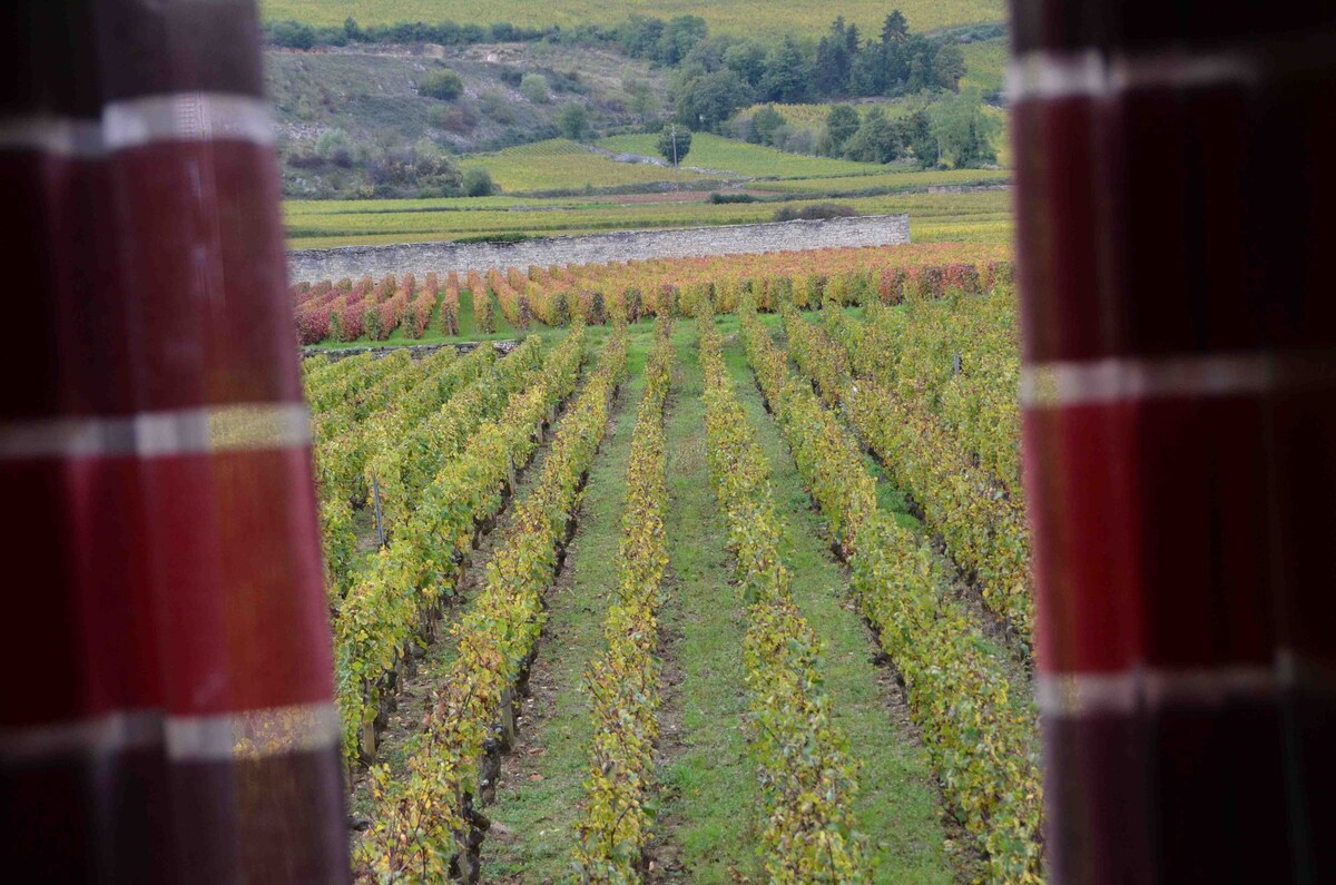 LE GITE DU MONTRACHET