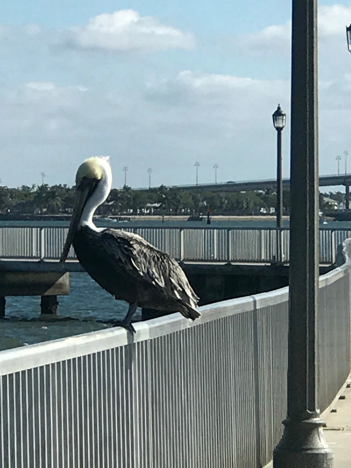 Blue Heron House海滩钓鱼潜水皮划艇Paley