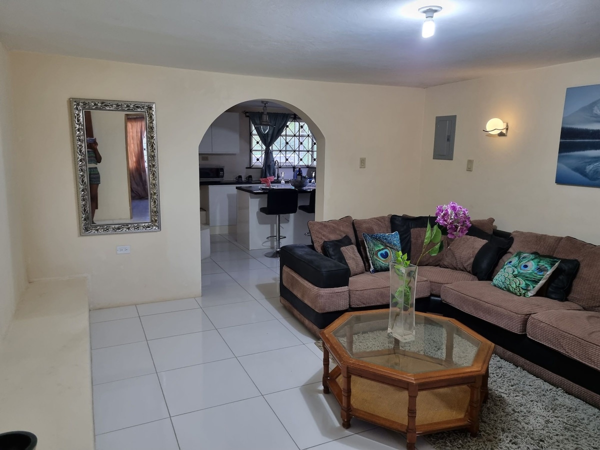 Spacious 2 BR apartment just 5mins to the toll Rd.
