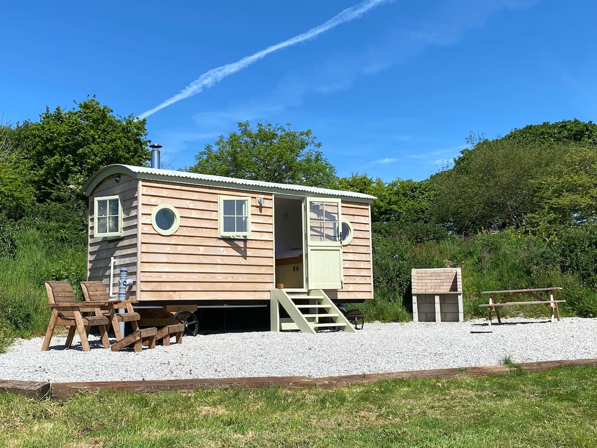 Private shepherd's hut + log burner, pets welcome