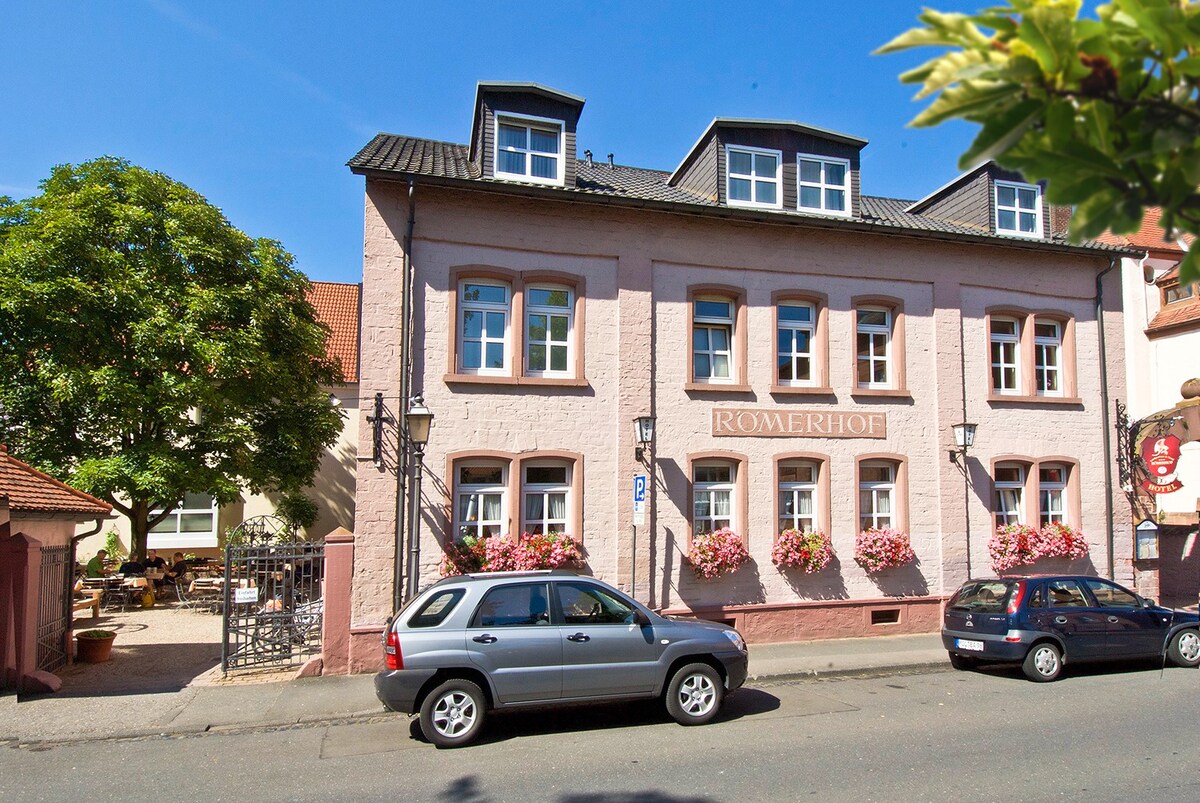 Landgasthaus Hotel Römerhof （ Obernburg/Main ） ，经济型单人客房，附带无线网络