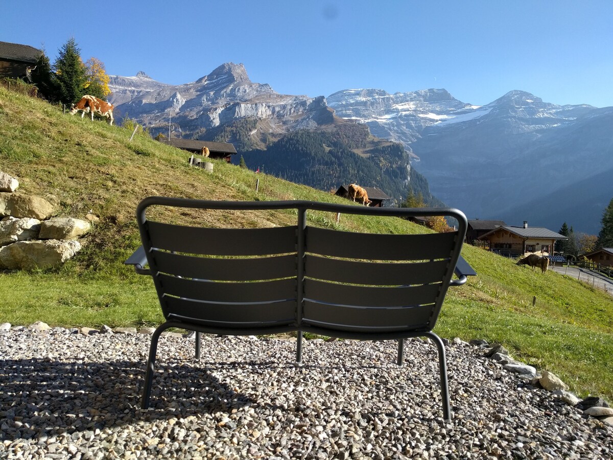 Monts-Chalet Apartment Terrace Garage Skiroom