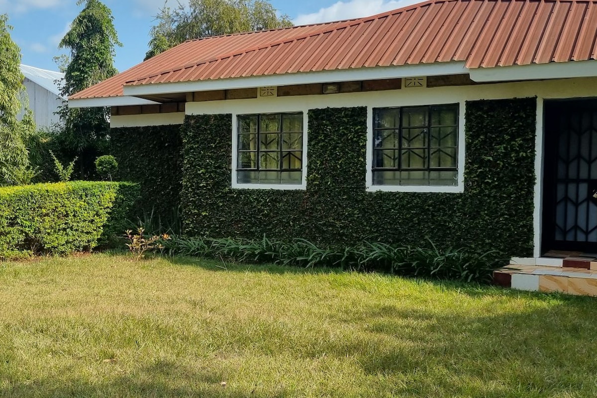 The Bottle Brush house