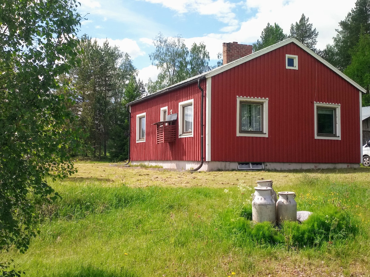 瑞典拉普兰（ Swedish Lapland ） ，靠近湖泊的小屋，狗拉雪橇，船