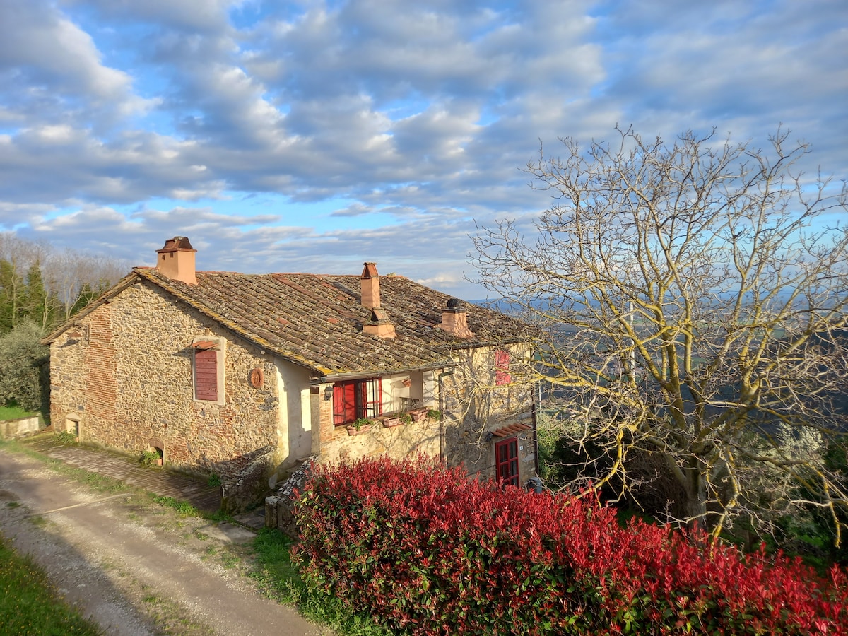 Il Rustico Vicopisano