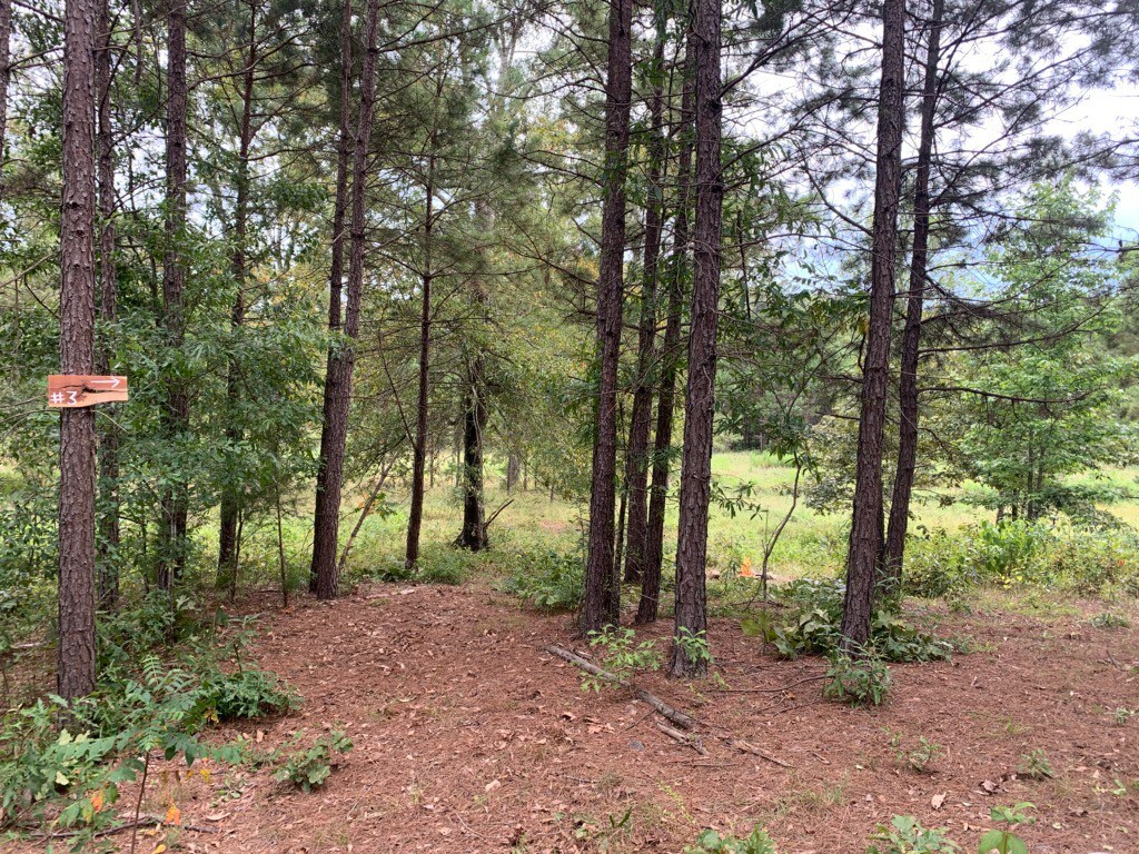 Primitive site #3 Edendell RVs & Camping, Oden, AR