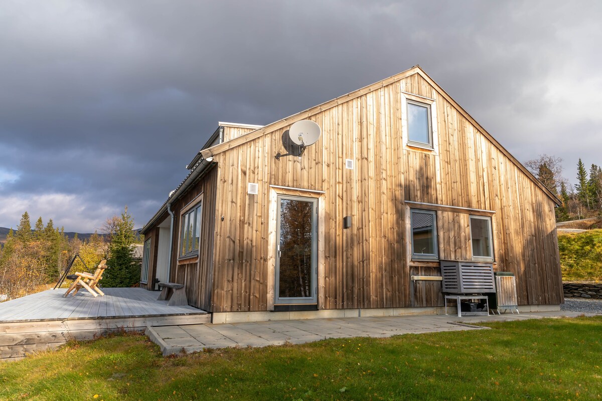 Røros地区的现代化小木屋。