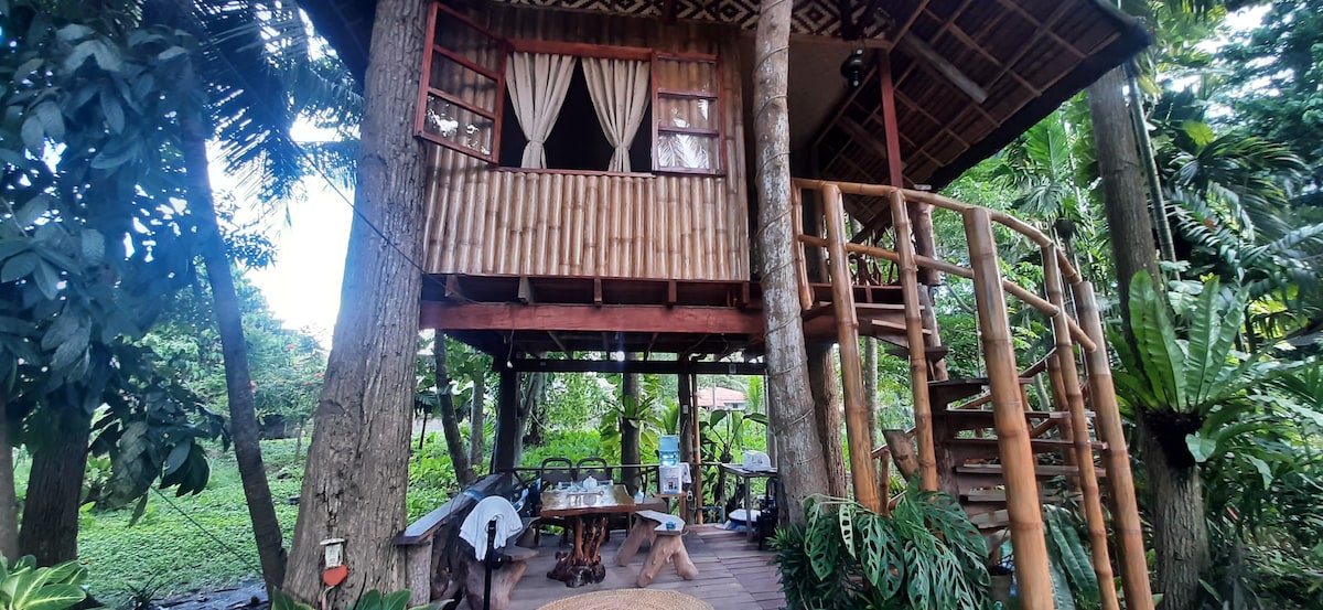 Marojo Garden Treehouse