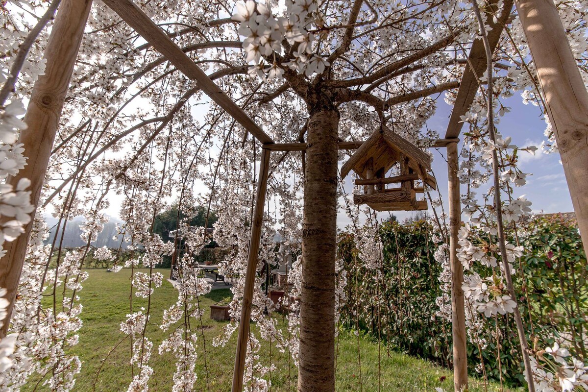 CASCINA ROCCA agriturismo B&B