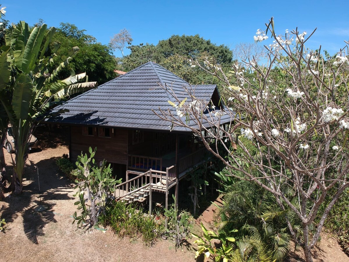 Toucan Hill House