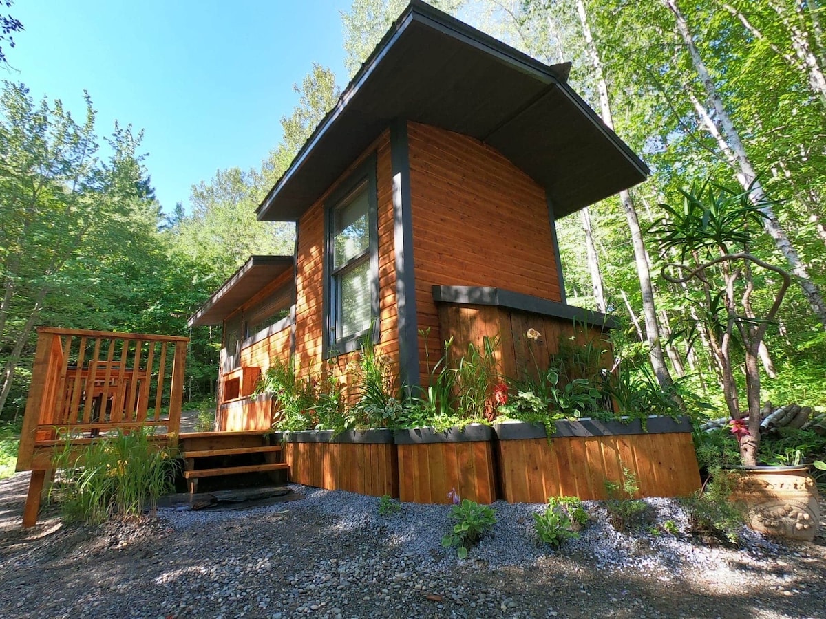 森林中美丽的迷你房屋