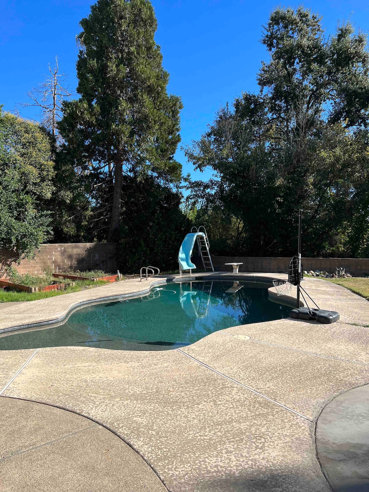 Tranquil Oasis: W/ Private Pool