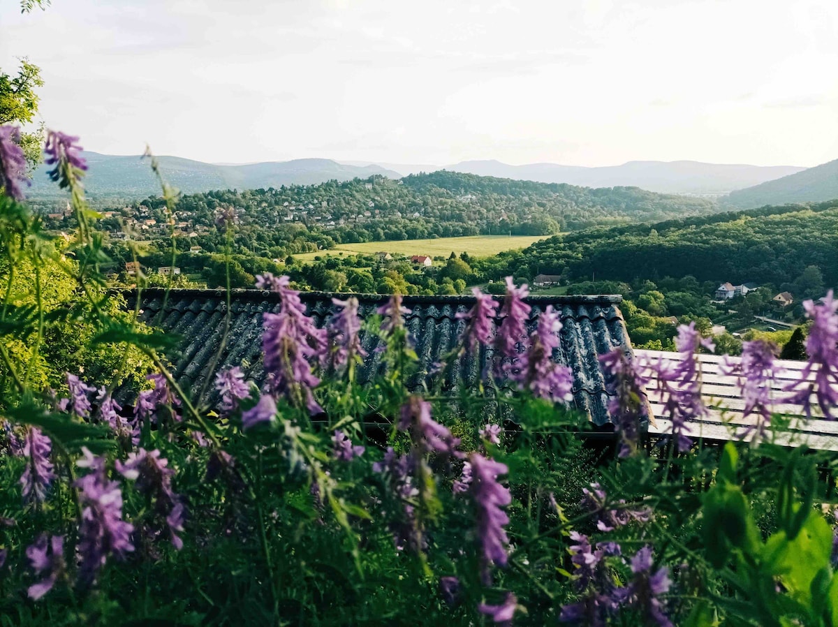 Cloud Nest Guesthouse