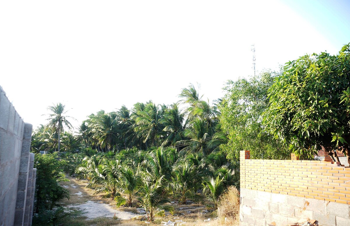 邦尼民宿（ BONNIE HOMESTAY ） -美奈中心（ Central Mui Ne ） ，靠近风筝冲浪