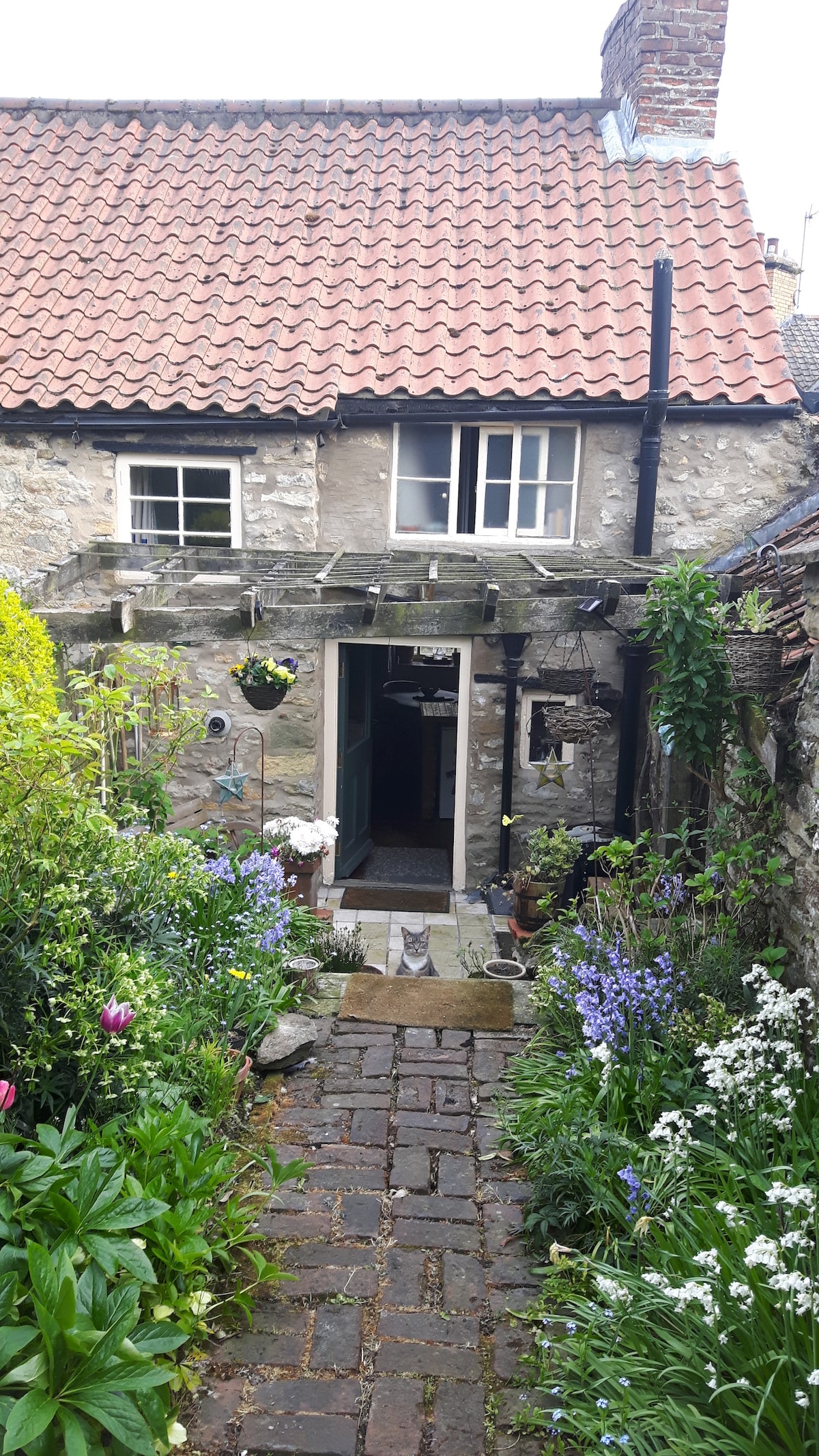 Idyllic 300 year old bijoux stone country cottage