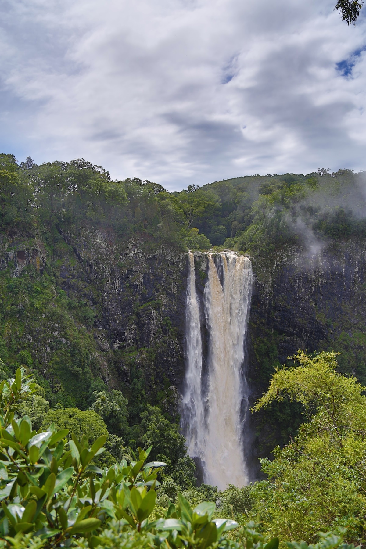 热带雨林瀑布探险之旅。