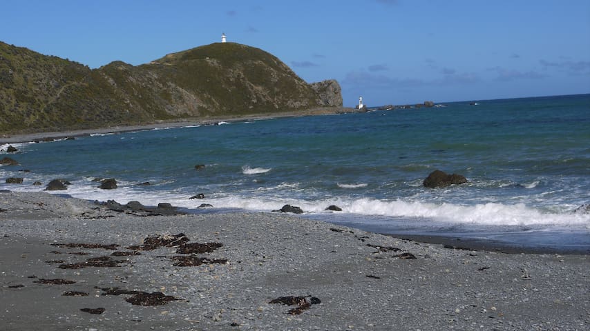 下哈特（Lower Hutt）的民宿