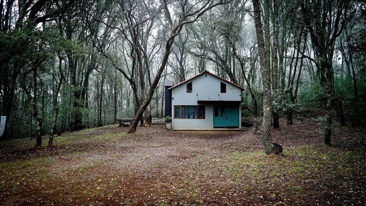 Cabaña muy acogedora rodeada de Bosque