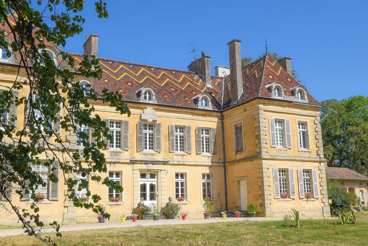 第戎（ Dijon ）附近城堡中的一间漂亮单间公寓，有葡萄园