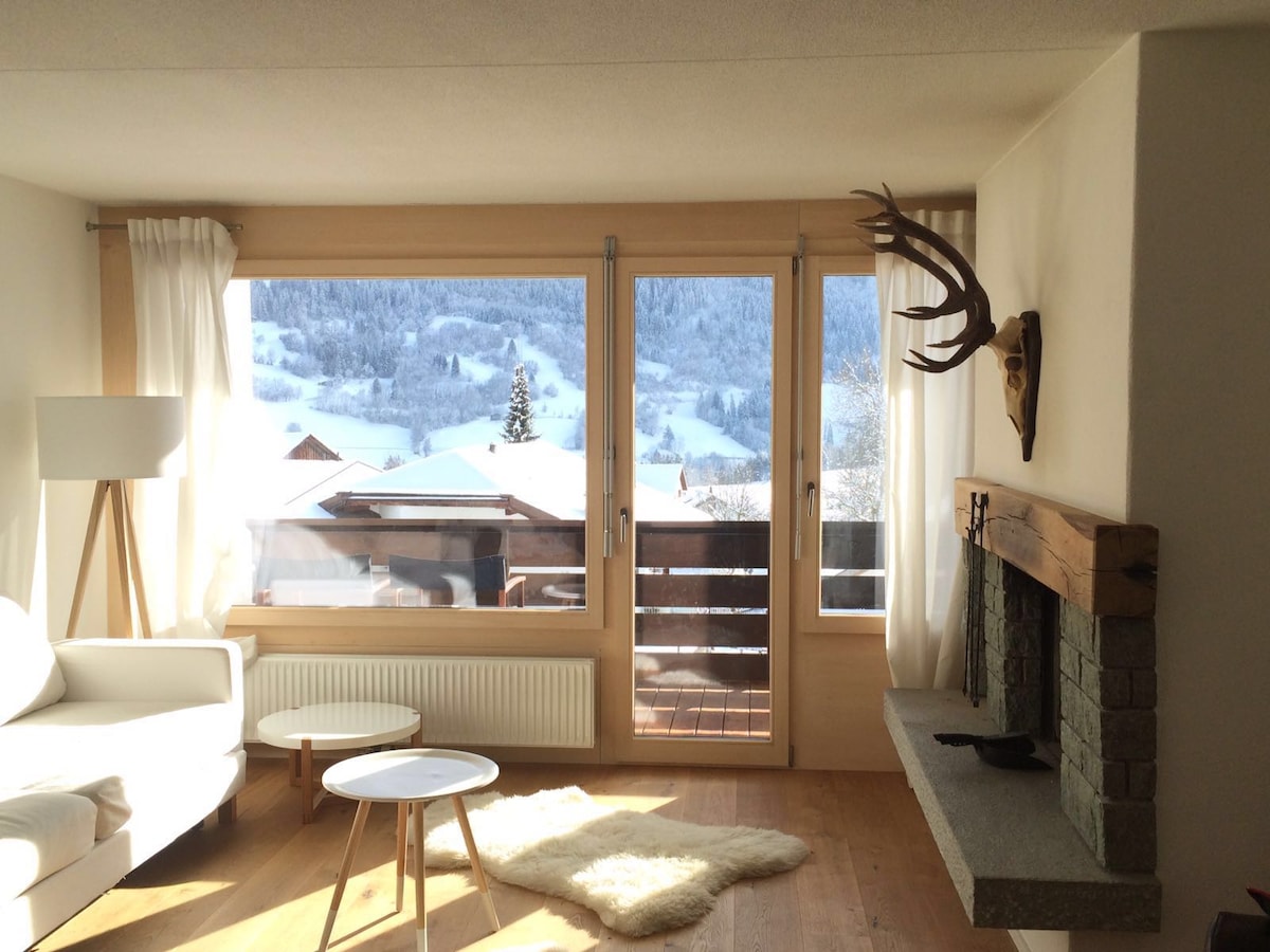 Newly renovated ski apartment