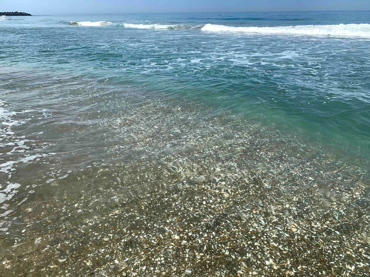 【チェックインが早い】海が見えてペットともお過ごしいただける貸切ハウス、外国人にも大人気！大人数可能