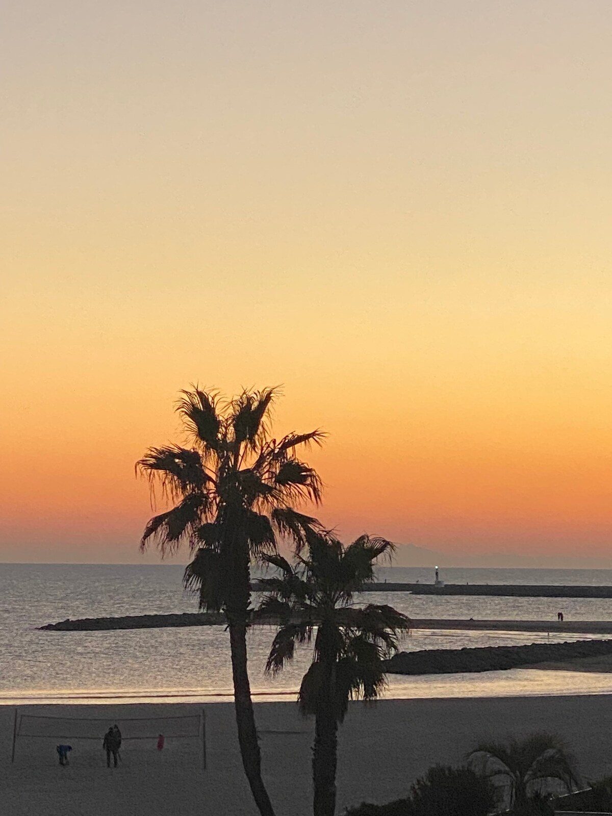 Magnifique studio avec terrasse en front de mer