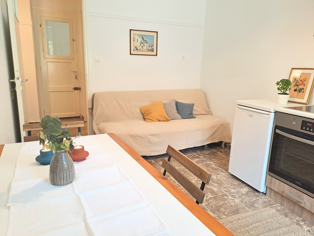 Comfortable Sea front Apartment. Marmari - Evia