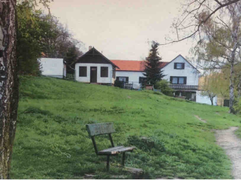 Lake house Dobříš near Prague