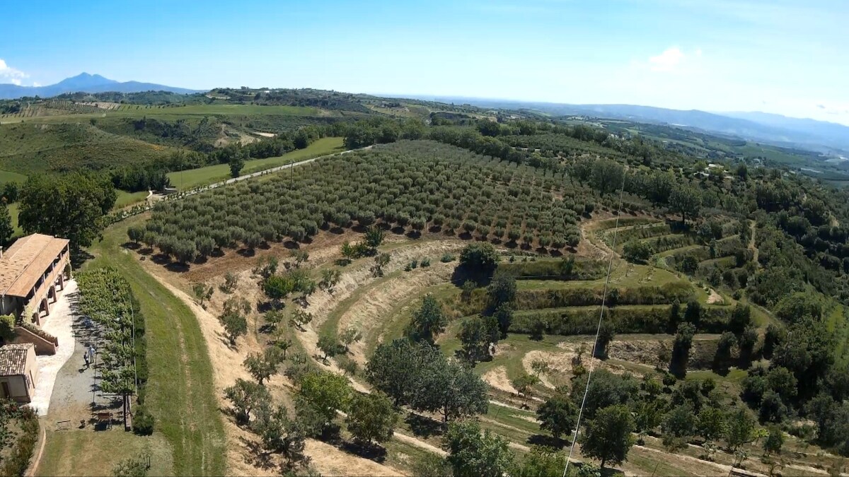 Farmhouse Le Farnie in South Italy - TRIPLA