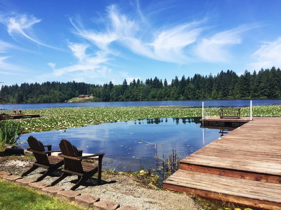 Lakeside Living Suite! ~Mt. Rainier, NWTrek, JBLM