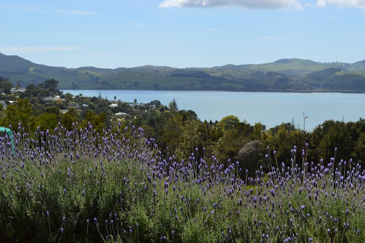 lavender blue, mangonui:apartment for 2 on 4 acres