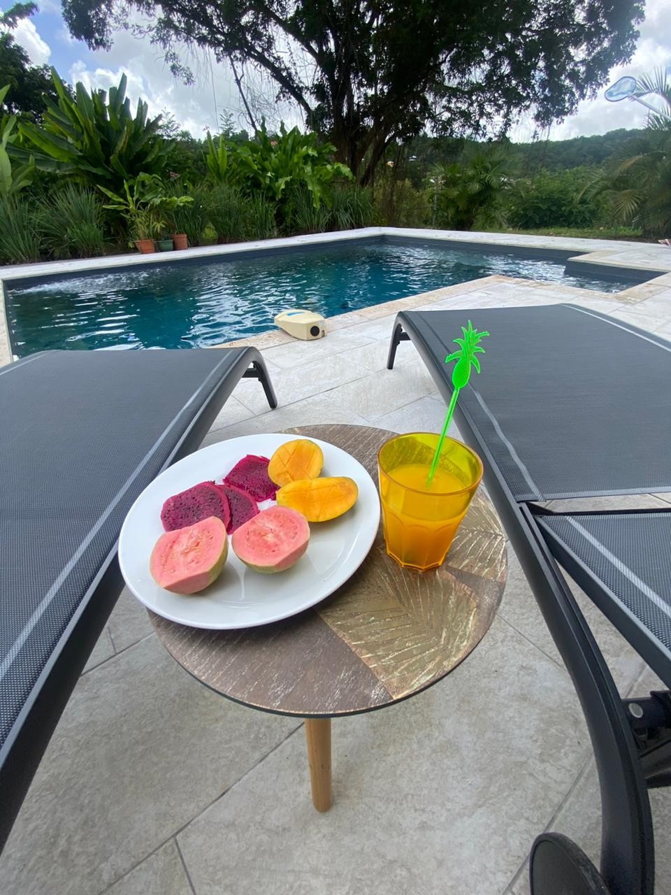 Villa T4 piscine spa sud de la Martinique