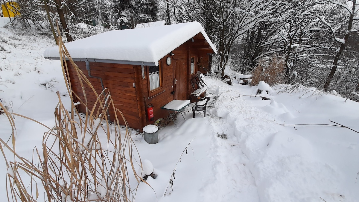 画家路上的Janas小屋#冬季