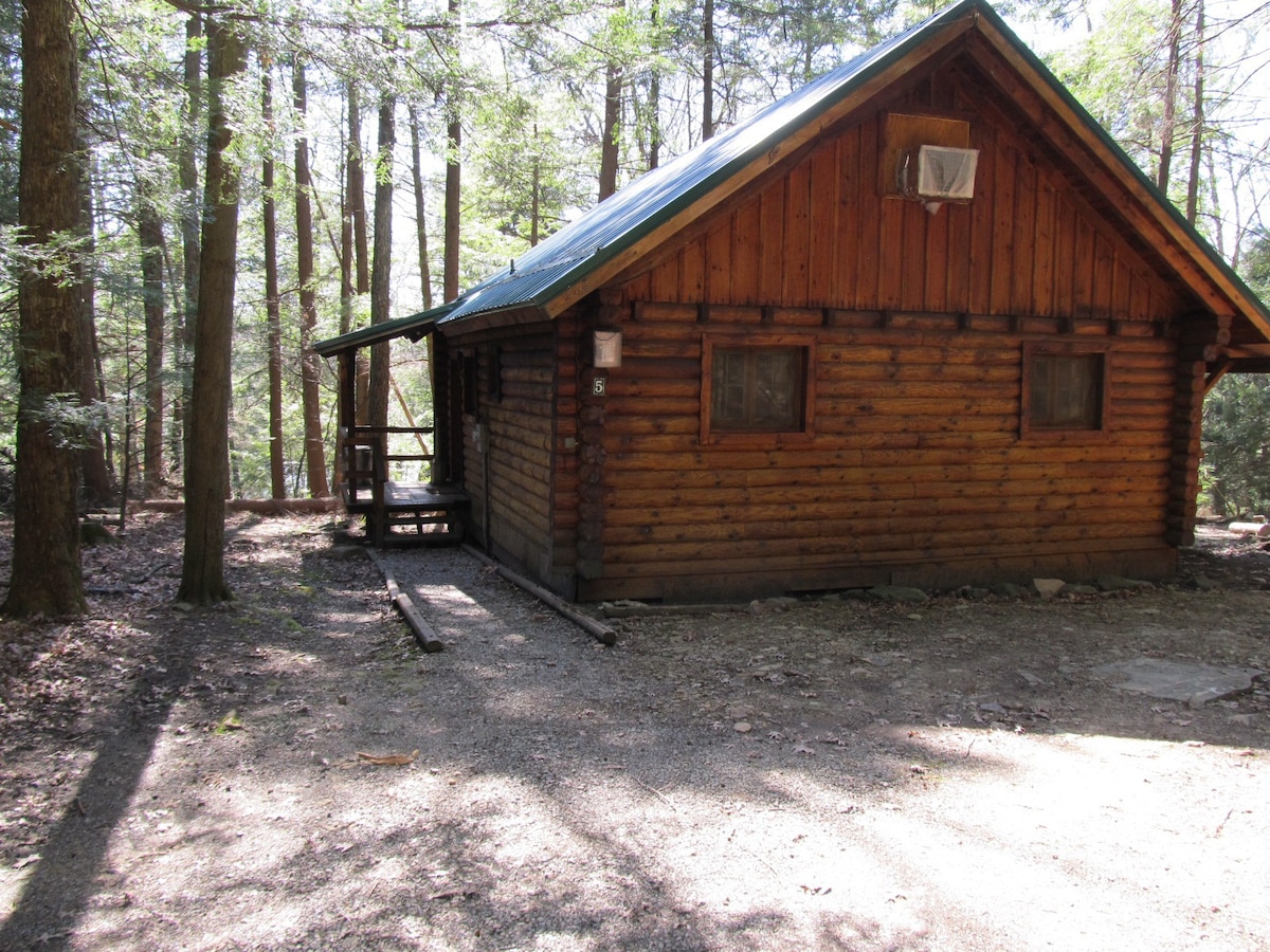 Cook Forest Cabin 5