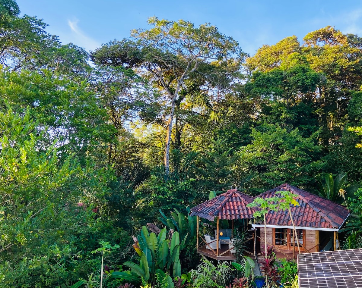 Breezy Ocean View Jungle House