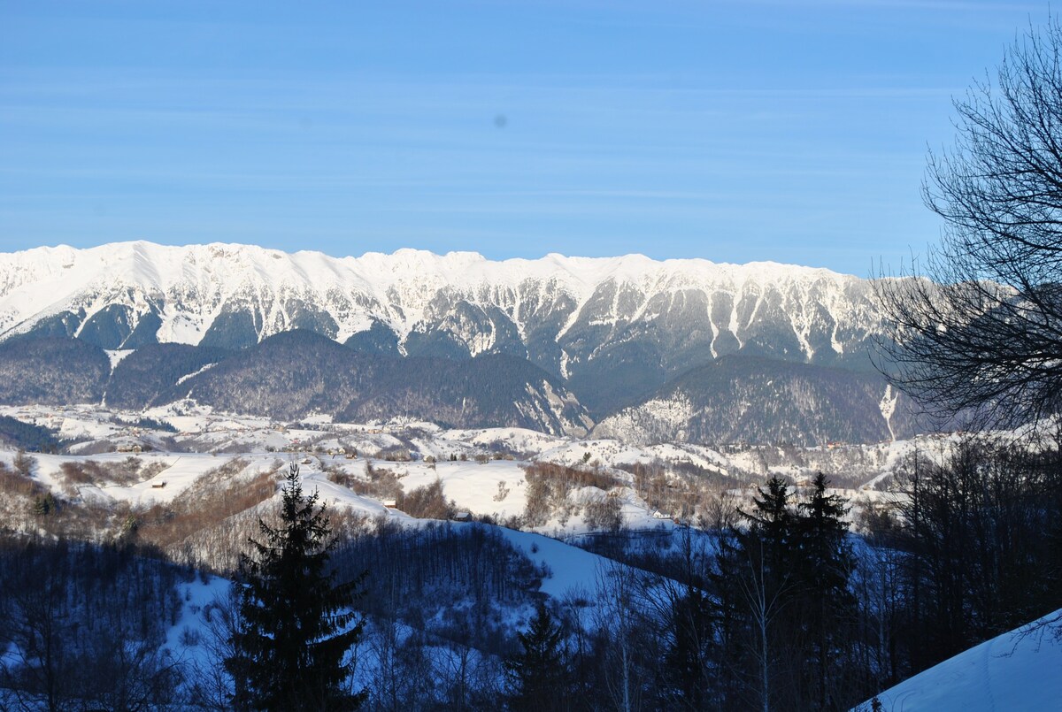 Conacul Boieresc near Dracula's Castle