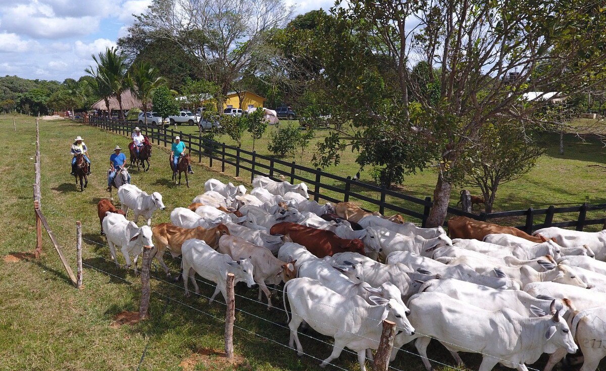 Finca Ecoturística Guadalupana