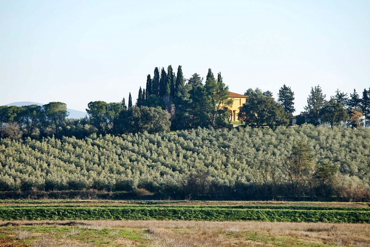 Poggio Cavallino -位于托斯卡纳马雷玛市中心