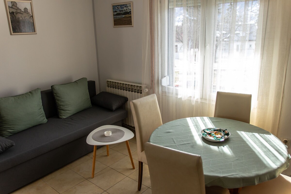 Apartman Kokin Brod