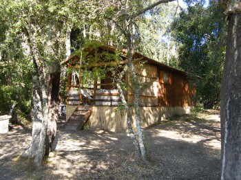 Bungalow in Nature - Torraccia