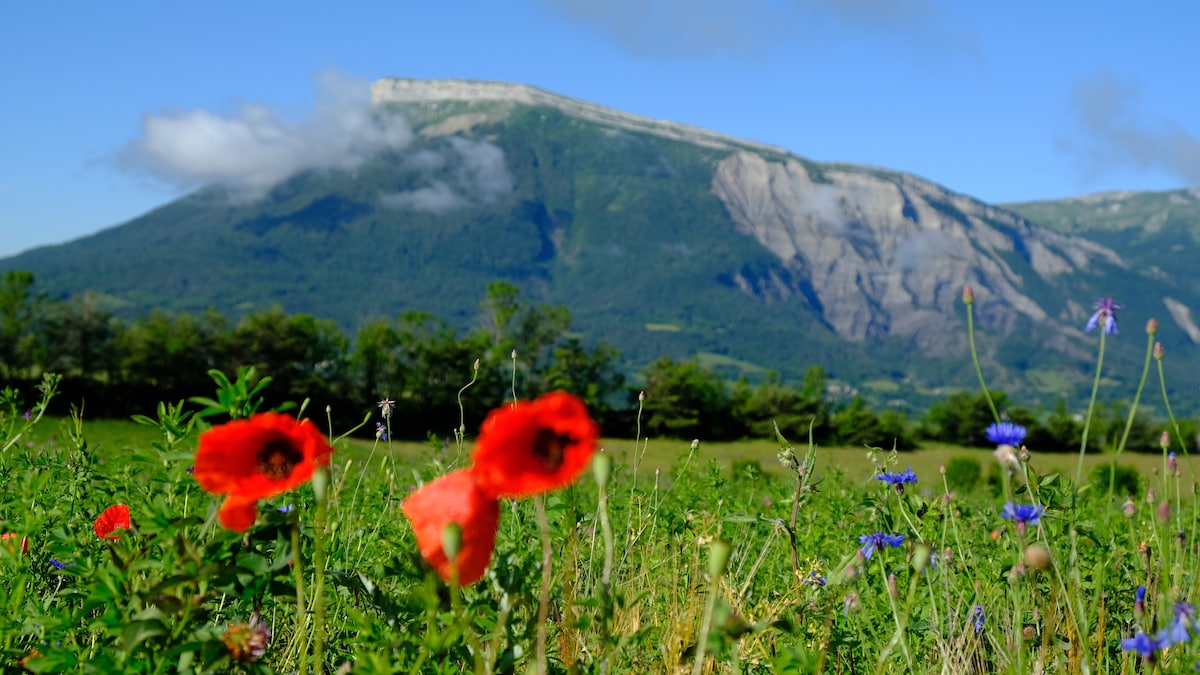 Un beau gîte de montagne