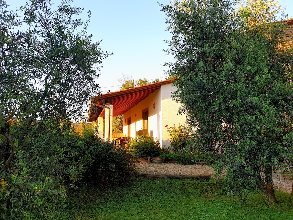 橄榄园（ Garden of Olives ）距离科尔托纳（ Cortona ）仅15分钟
