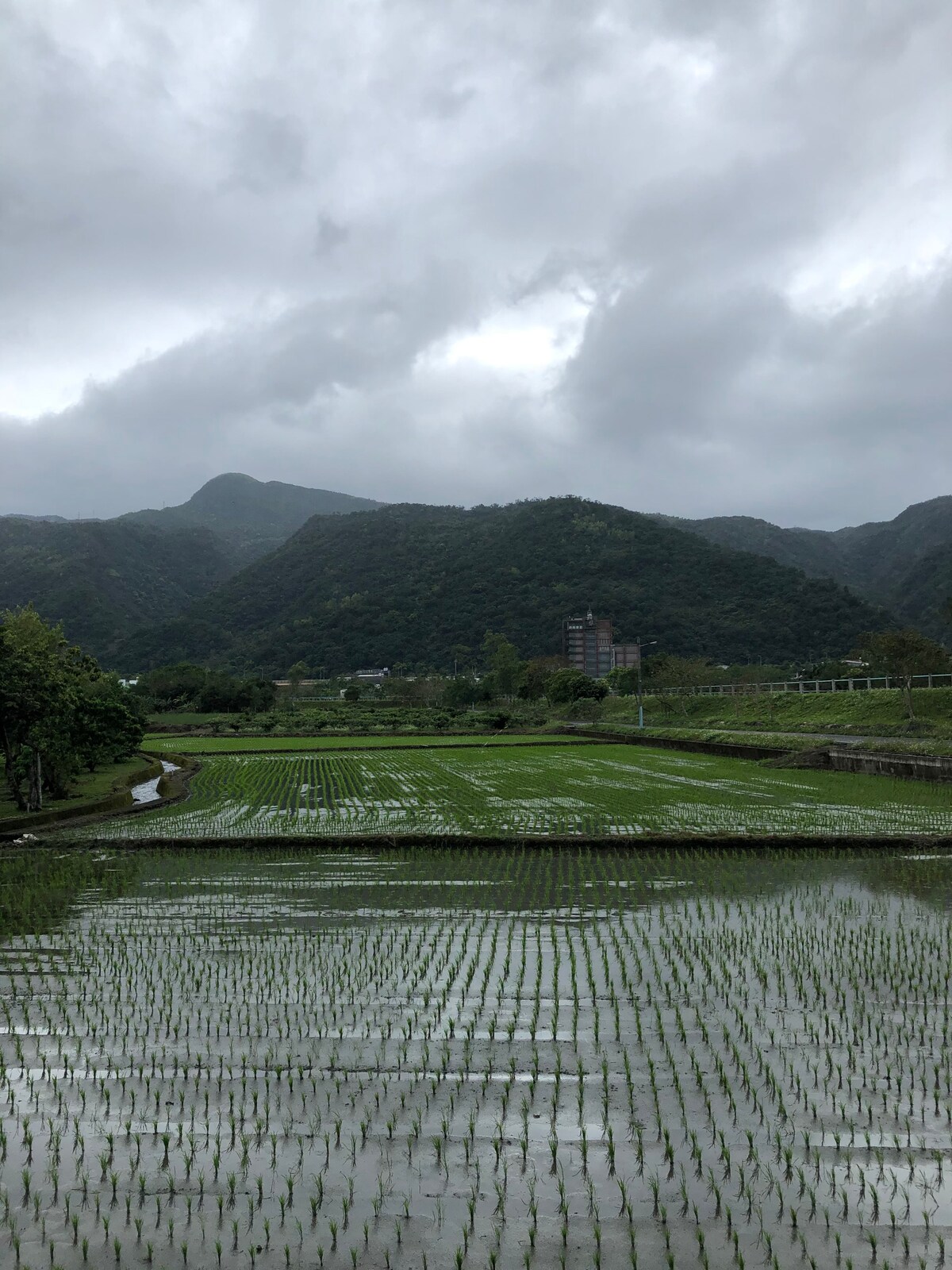 三五好友 家庭聚會 多人歡聚 享受無人打擾的悠閒時光   一天只接一組旅客