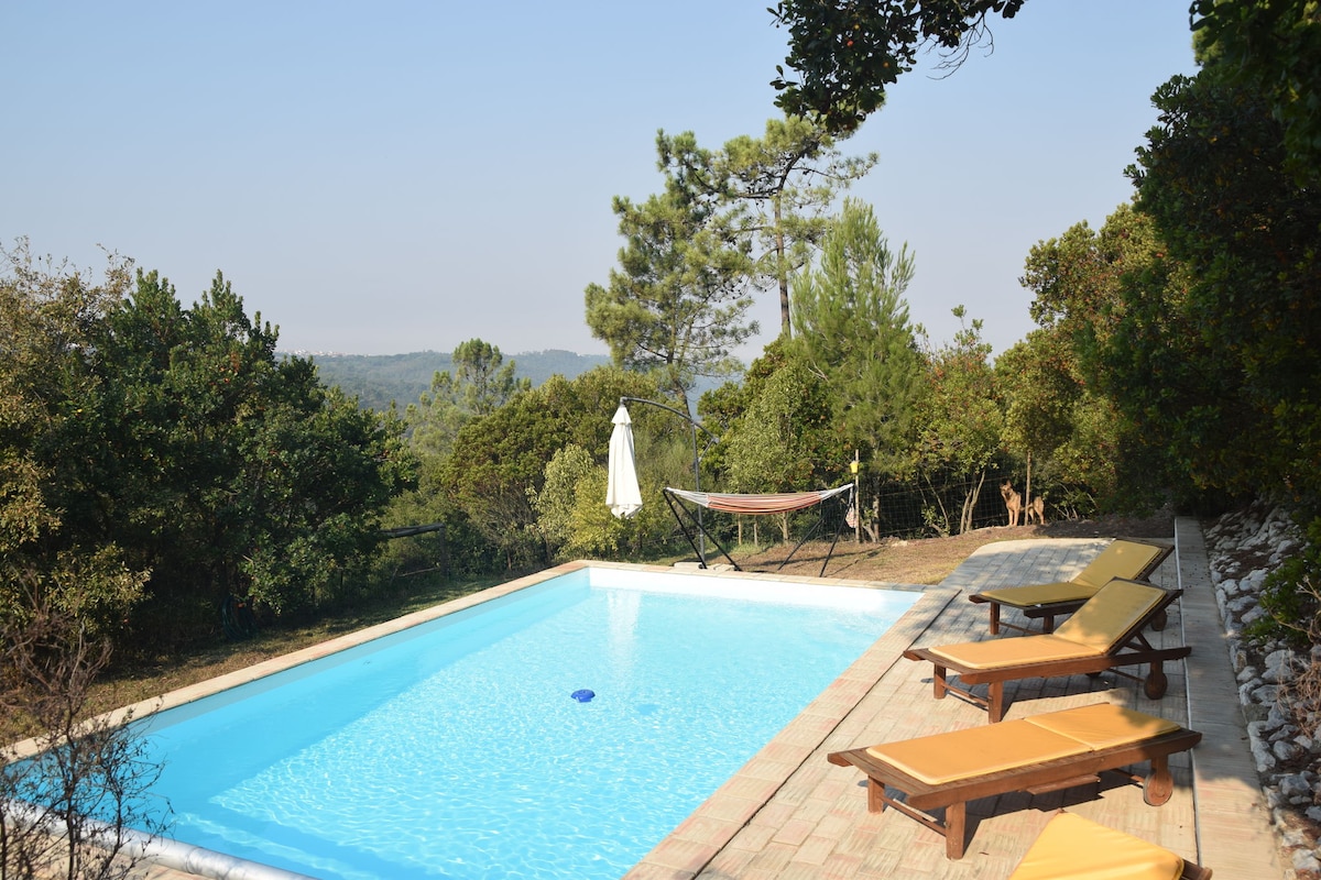 A Perfect villa with pool, terrace and garden.