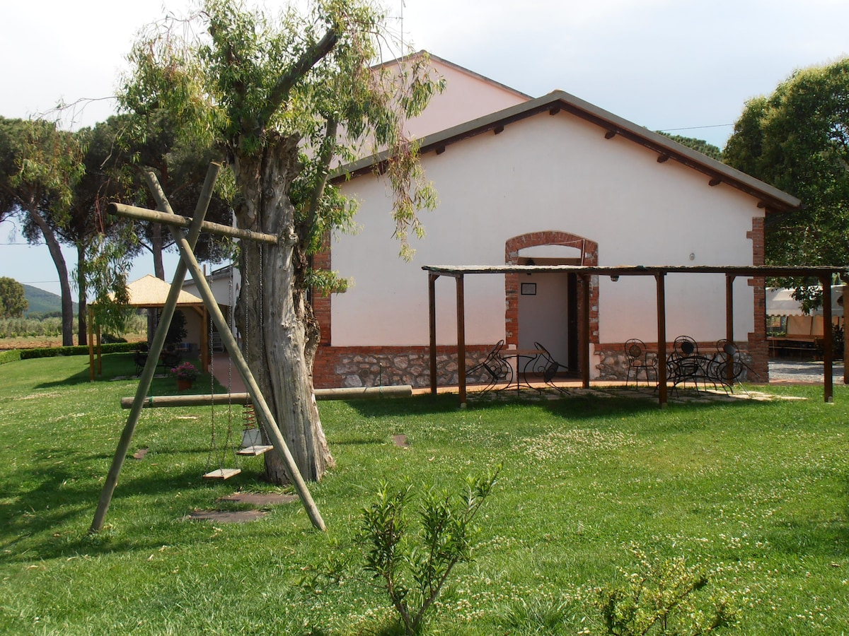 海景，放松身心，阿尔伯利亚马雷玛公园（ Maremma Alberese Park ） ，托斯卡纳