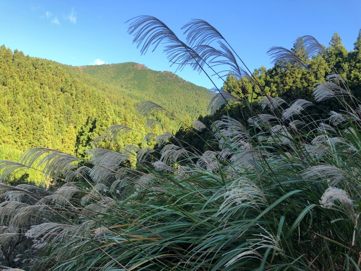 CENTURIO Power Land by Inaka Tourism