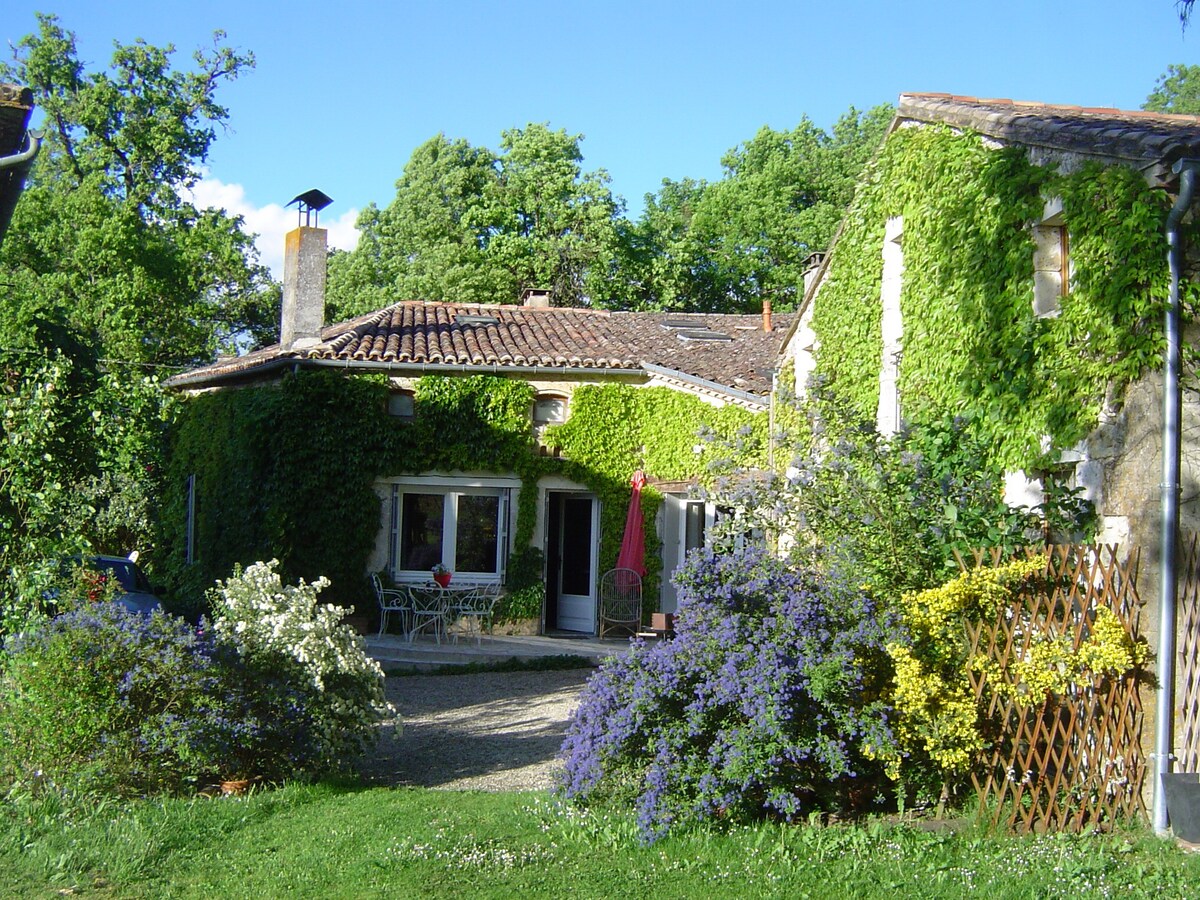 Confortable house, vineyards & historical places !