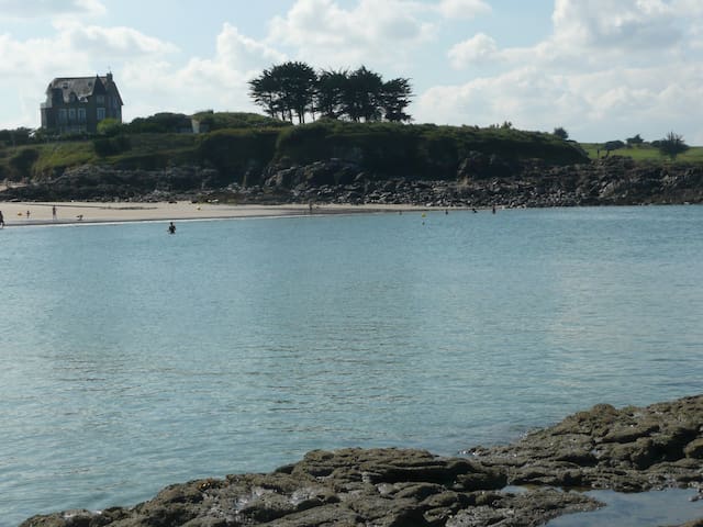 滨海圣布里阿克(Saint-Briac-sur-Mer)的民宿