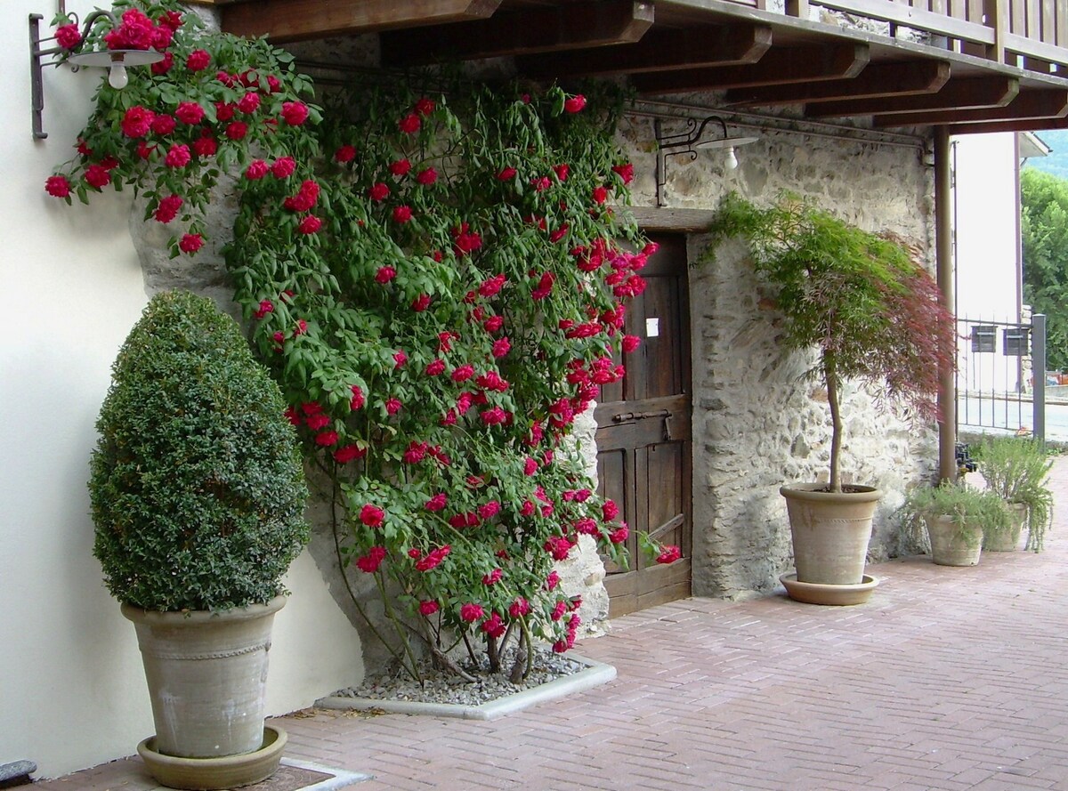 Genuine Valtellina House - The Host Terrace
